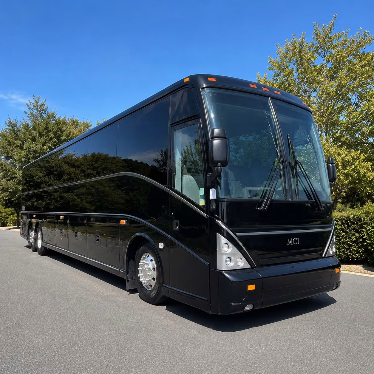 el paso zoo and wildlife field trip transportation